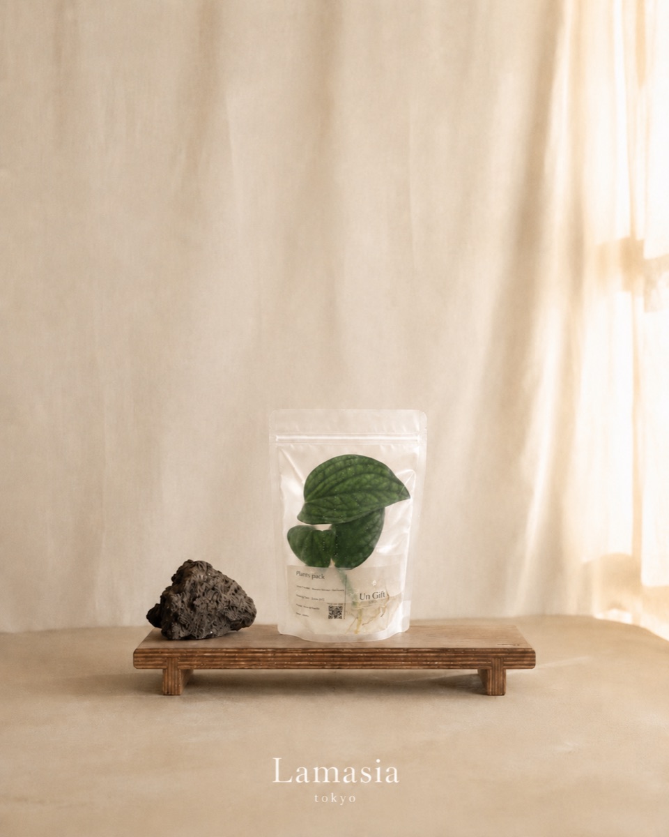 リネンの上に置かれた植物